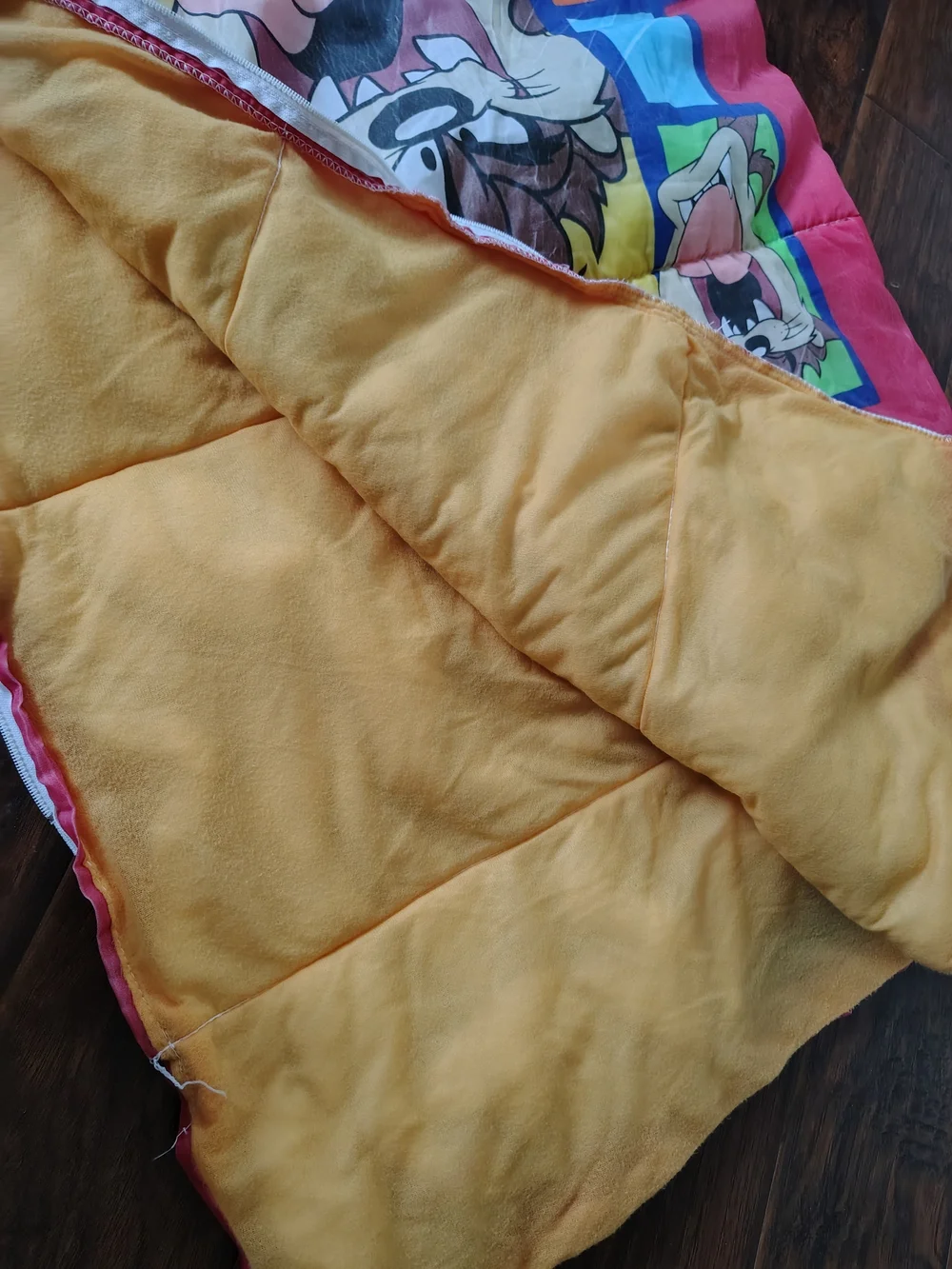 Vintage 90s Warner Brothers Totally Taz sleeping bag